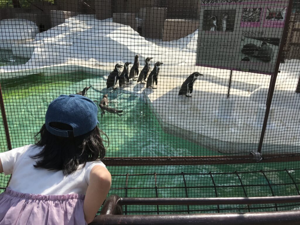 天王寺動物園のペンギン